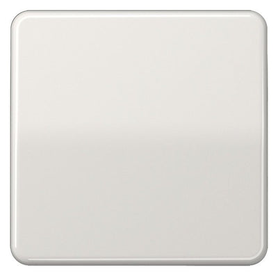 Jung CD101LG Wippe f.Taster