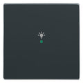 BJ 6231-10-81 Wippe 1-fach Licht Busch-free@home anthrazit