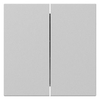 GIRA 3495015 Wippe 2fach gerade System 55 Grau matt (lackiert)