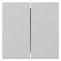 GIRA 3495015 Wippe 2fach gerade System 55 Grau matt (lackiert)