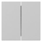 GIRA 3495015 Wippe 2fach gerade System 55 Grau matt (lackiert)