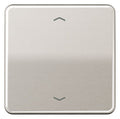 Jung CD101PPT Wippe f.Tasterpfeile