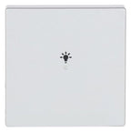 BJ 6231-10-83 Wippe 1-fach Licht Busch-free@home alusilber