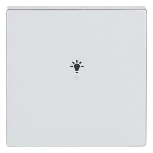 BJ 6231-10-83 Wippe 1-fach Licht Busch-free@home alusilber