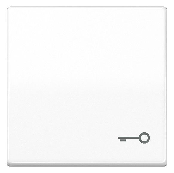 Jung SPAS591TWW Wippe m.Symbol "Tuer"