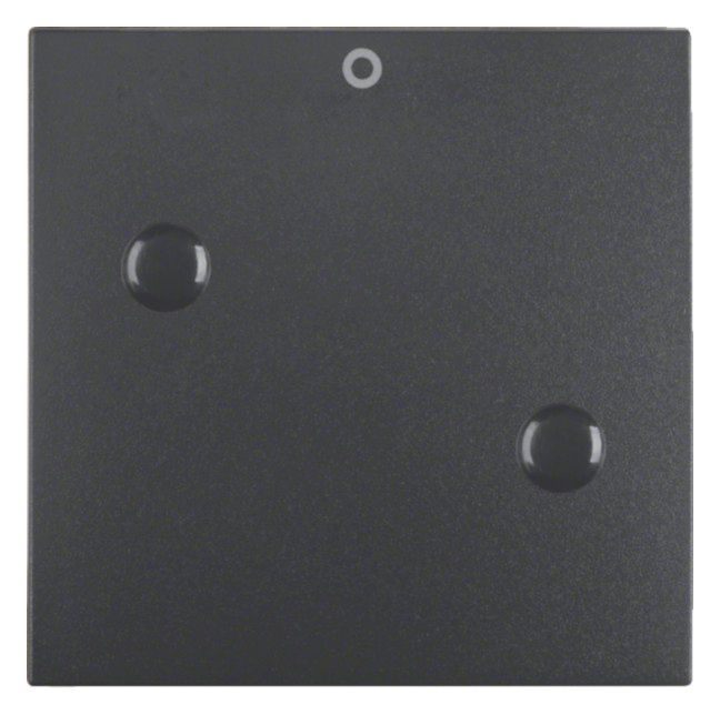 Berker 15731606 Wippe anschraubbar m.Aufdruck 0 B.3/B.7 anthrazit matt