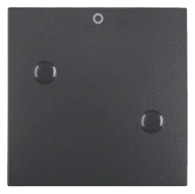 Berker 15731606 Wippe anschraubbar m.Aufdruck 0 B.3/B.7 anthrazit matt