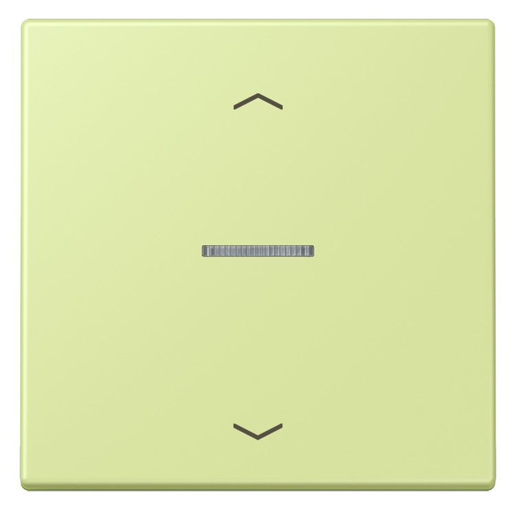 Jung LC101KO5P222 Wippe m.Lichtleiter u. Pfeilsymbolen