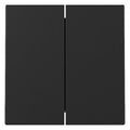 GIRA 3295005 Wippe 2fach System 55 Schwarz matt (lackiert)