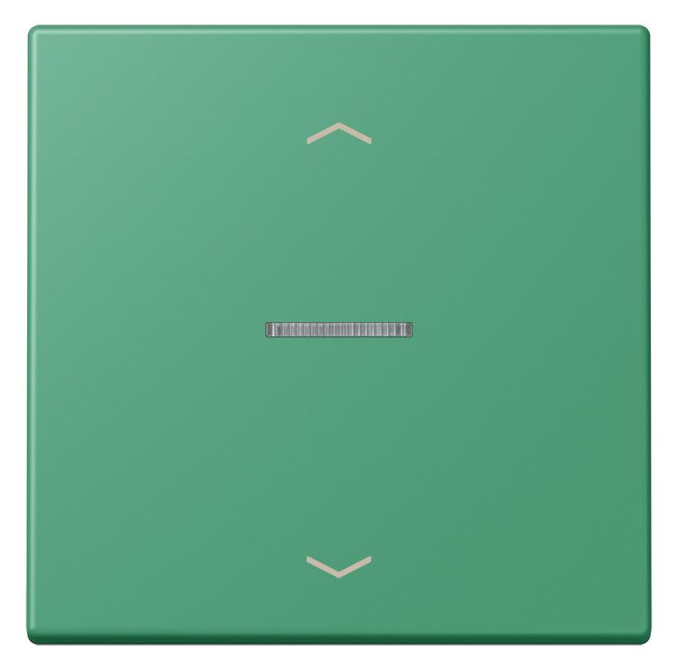 Jung LC101KO5P250 Wippe m.Lichtleiter u. Pfeilsymbolen
