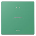 Jung LC101KO5P250 Wippe m.Lichtleiter u. Pfeilsymbolen