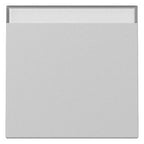 GIRA 3299015 Wippe Beschriftungsfeld System 55 Grau matt (lackiert)