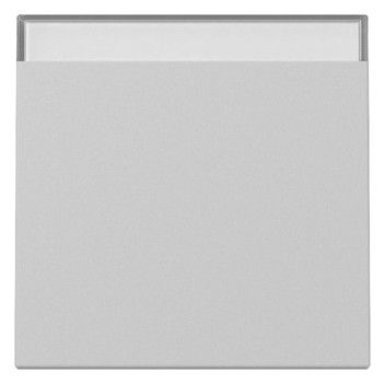 GIRA 3299015 Wippe Beschriftungsfeld System 55 Grau matt (lackiert)