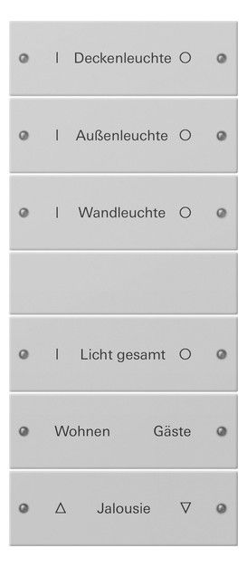 GIRA 2206015 Wippenset 6fach (3+3) beschreib. System 55 Grau matt (lack.)