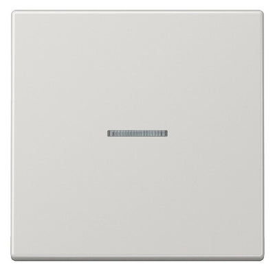 Jung LS990KO5LG Wippe Lichtleiter lichtgrau