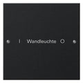 GIRA 2201005 Wippenset 1fach beschreib. System 55 Schwarz matt (lackiert)