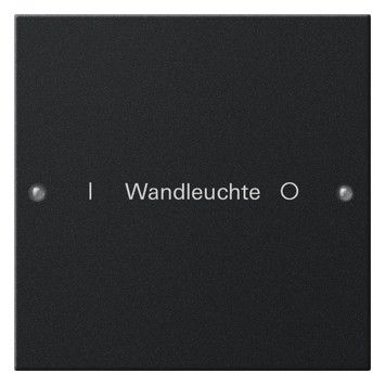 GIRA 2201005 Wippenset 1fach beschreib. System 55 Schwarz matt (lackiert)