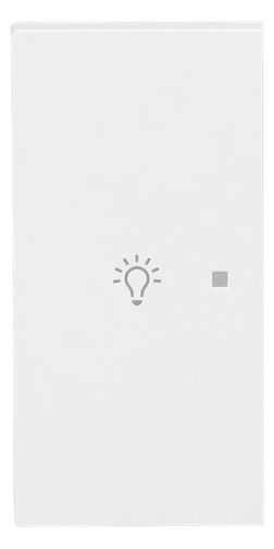 BJ 6231-21-44M Wippe 2-fach links m.Symbol "Licht"