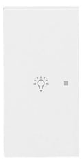 BJ 6231-21-44M Wippe 2-fach links m.Symbol "Licht"