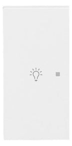 BJ 6231-21-44M Wippe 2-fach links m.Symbol "Licht"