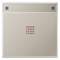 Jung ES2990NAKO2 Wippe Schriftfeld m.Lichtleiter LS Edelstahl