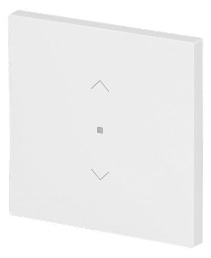 BJ 6232-10-44G Wippe 1-fach m.Symbol "Jalousie"