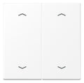 Jung LS 995 MP WWM Wippe 2fach m.4 Pfeilsymbolen Serie LS schneeweiß matt