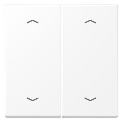 Jung LS 995 MP WWM Wippe 2fach m.4 Pfeilsymbolen Serie LS schneeweiß matt