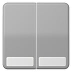 Jung CD595NAGR Wippe Serienschalter Schriftfeld grau