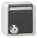 GIRA 456930 SCHUKO-Steckdose Klappdeckel Schloss gleich+BSF WG AP IP44 Grau