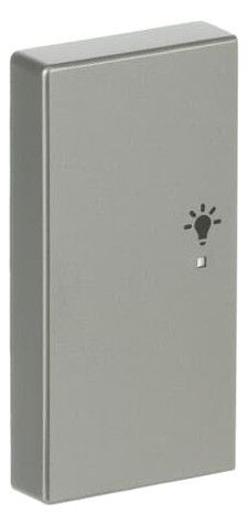 BJ 6231-21-866 Wippe/L 2f Licht edelstahl Busch-free@home pur Est