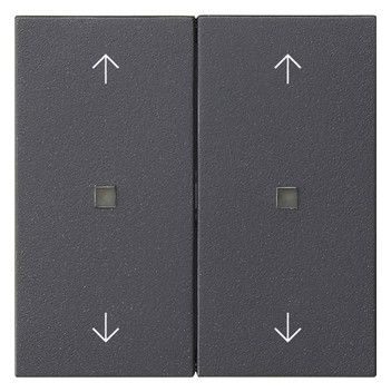 GIRA 538628 Wippe 2fach Pfeile KF System 55 Anthrazit