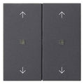 GIRA 538628 Wippe 2fach Pfeile KF System 55 Anthrazit