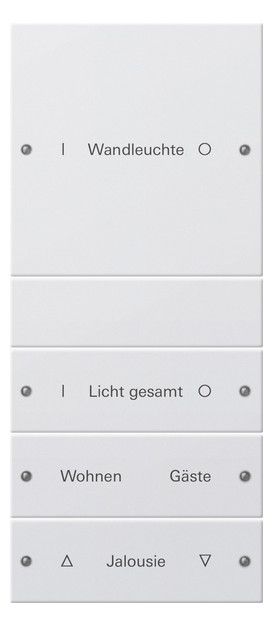 GIRA 220427 Wippenset 4fach (1+3) beschreib. System 55 Reinweiß seidenmatt