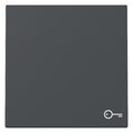 GIRA 328728 Wippe Symbol Tür System 55 Anthrazit