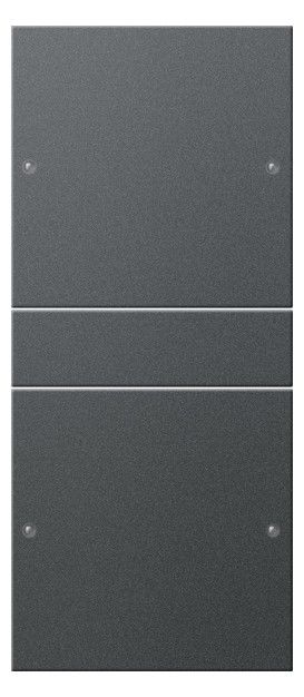 GIRA 218228 Wippenset 2fach (1+1) System 55 Anthrazit (lackiert)