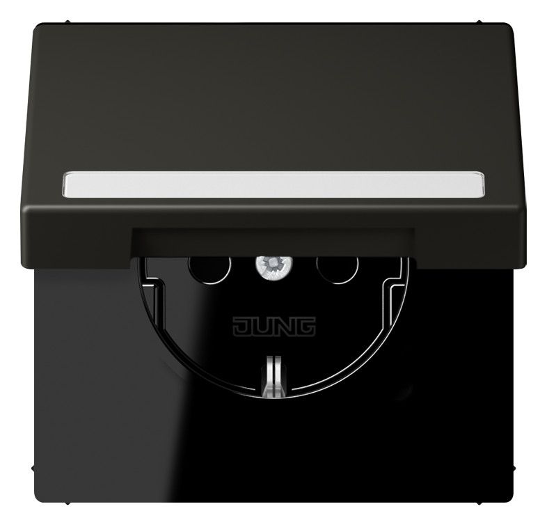 Jung LC1520BFNAKL259 SCHUKO-Steckd.KI m. Klappdeckel m.S