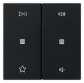 GIRA 5384005 Wippe 2fach Audiosteuerung System 55 Schwarz matt (lackiert)