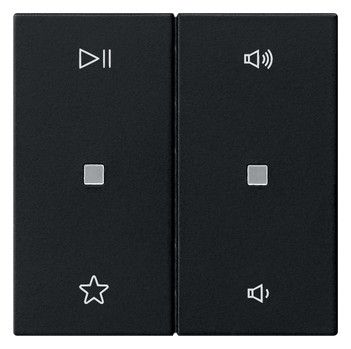 GIRA 5384005 Wippe 2fach Audiosteuerung System 55 Schwarz matt (lackiert)