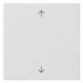 GIRA 538903 Wippe 1fach Pfeile System 55 Reinweiß glänzend