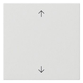 GIRA 538903 Wippe 1fach Pfeile System 55 Reinweiß glänzend