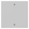 GIRA 5389015 Wippe 1fach Pfeile System 55 Grau matt (lackiert)