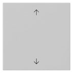 GIRA 5389015 Wippe 1fach Pfeile System 55 Grau matt (lackiert)