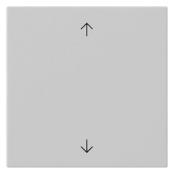 GIRA 5389015 Wippe 1fach Pfeile System 55 Grau matt (lackiert)