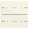 GIRA 576201 Wippenset 2fach indiv. Tastsensor4 System 55 Cremeweiß gl.