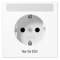 Jung LS1520NAEDVWW SCHUKO Steckdose EDV