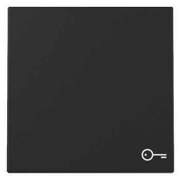 GIRA 3287005 Wippe Symbol Tür System 55 Schwarz matt (lackiert)