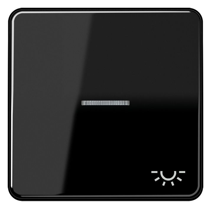 Jung CD590KO5LSW Wippe Symbol Licht m.Lichtleiter schwarz