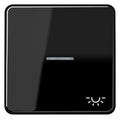 Jung CD590KO5LSW Wippe Symbol Licht m.Lichtleiter schwarz