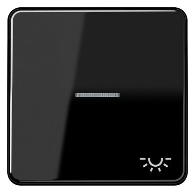 Jung CD590KO5LSW Wippe Symbol Licht m.Lichtleiter schwarz
